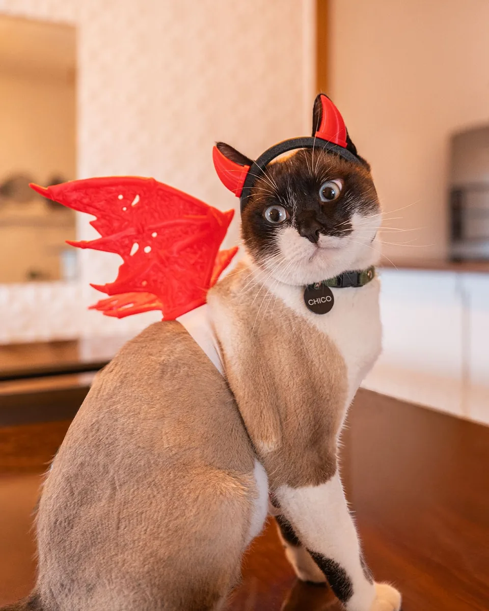 Little Devil pet costume — shown on a pet, view 1