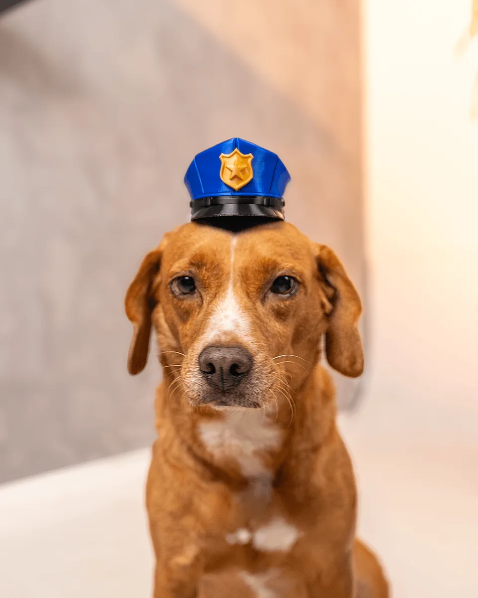 Officer Woof pet costume — shown on a pet, view 1