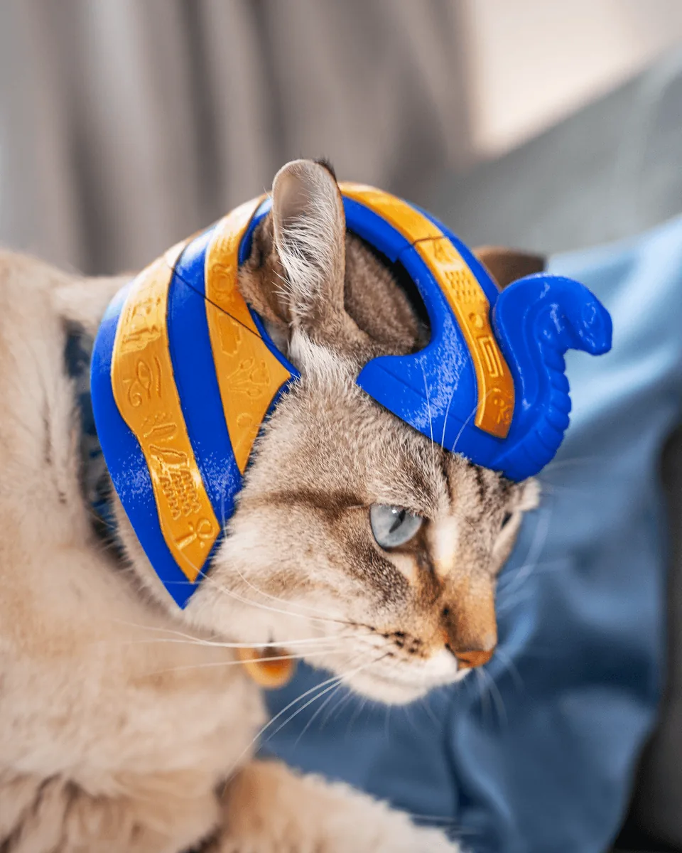 Pharaoh Cat pet costume — shown on a pet, view 1